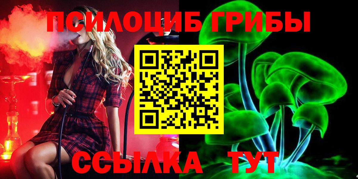 Заинск  купить наркотики сайты  Вход с VPN  Псилоцибиновые грибы прущие грибы 
